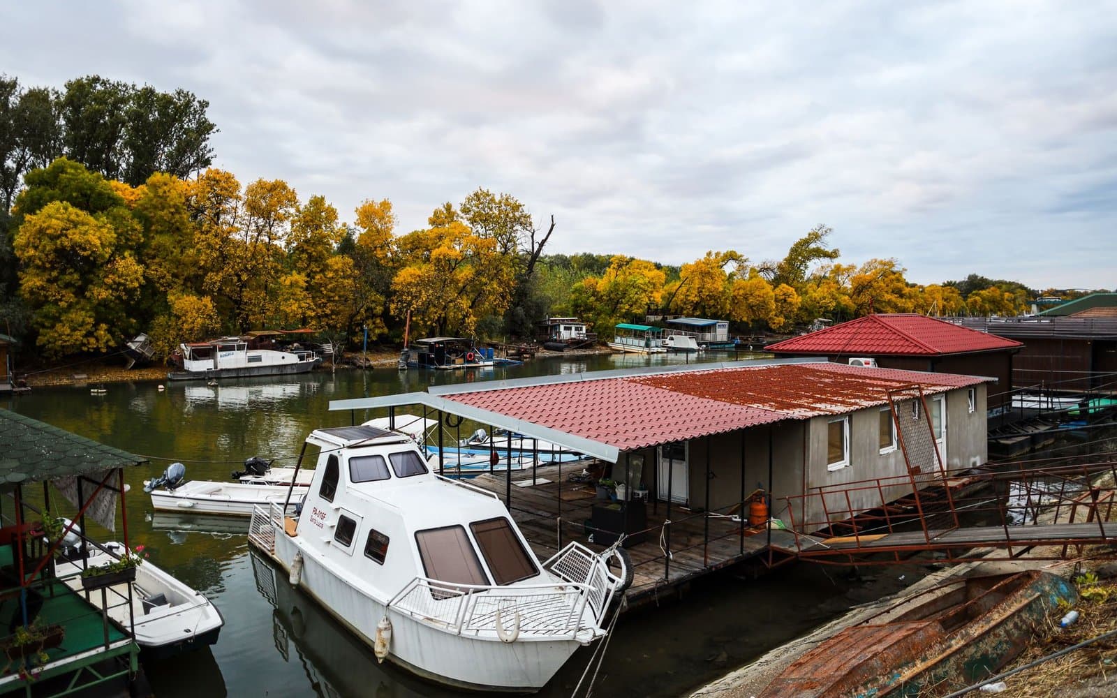 Motorowe houseboaty i łodzie zacumowane w rzecznej marinie wśród jesiennych drzew