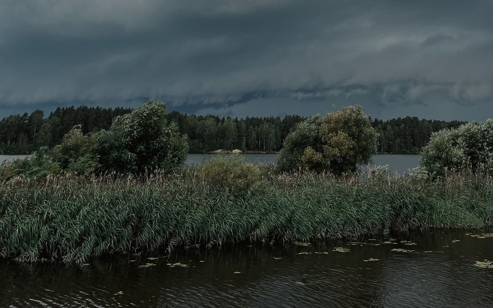 Ciemne burzowe chmury nadciągające nad mazurskie jezioro z trzcinami przy brzegu