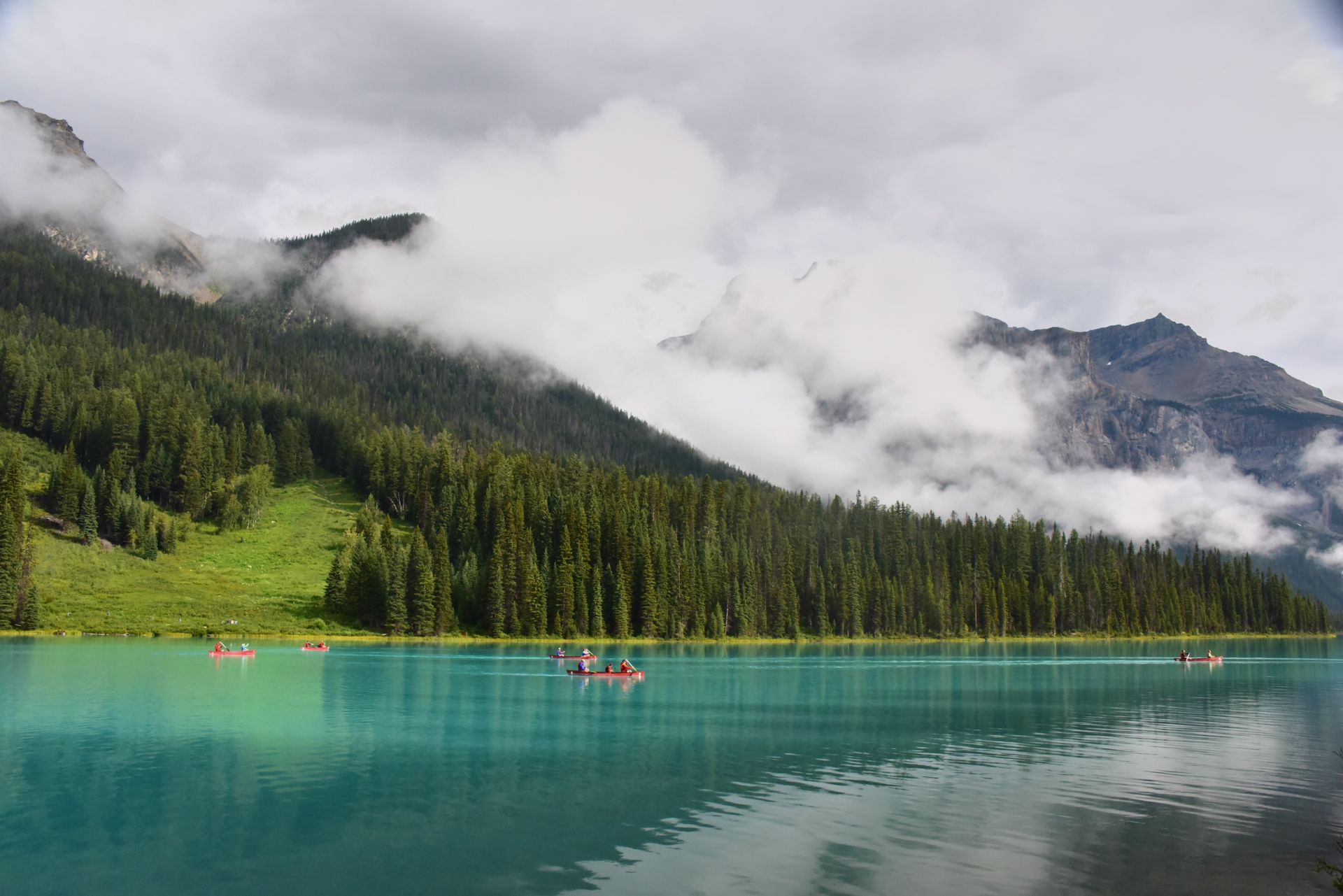 Kayakers on a calm, forested lake in summer