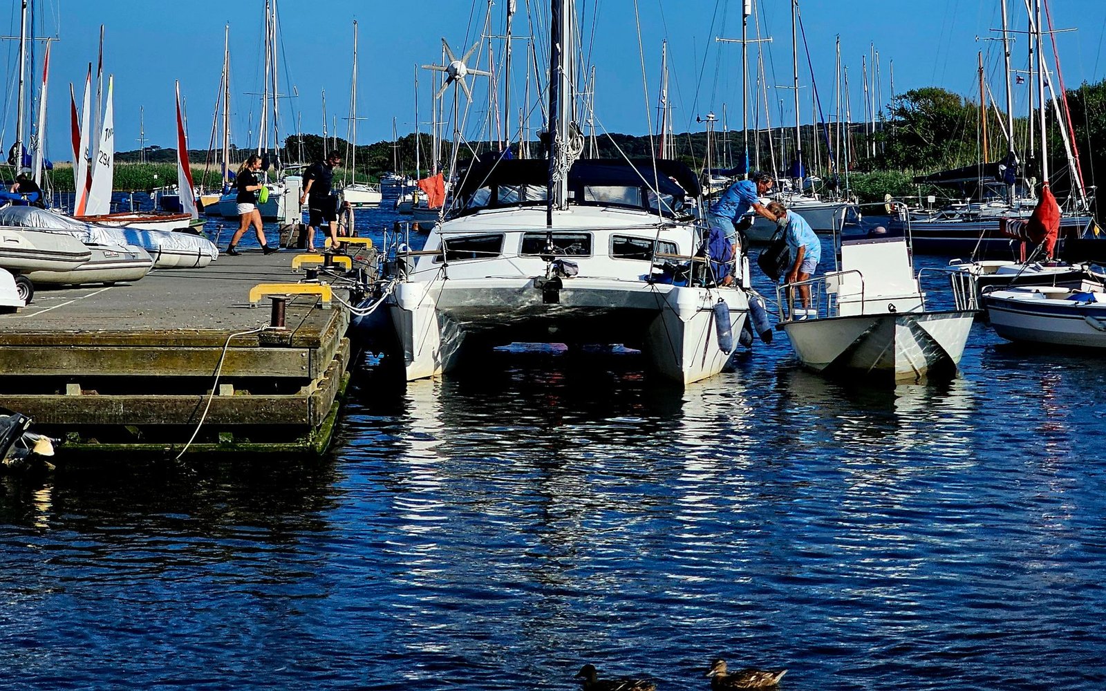 Zatłoczona marina w szczycie sezonu, załoga wnosząca bagaże na jacht przy pomoście